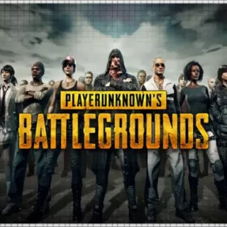 🌕 PUBG (PS4/RU) П3 - Активация